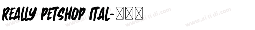 Really Petshop Ital字体转换